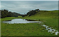 Flooded Field