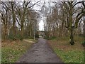 Path, Owlsmoor playing fields