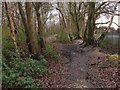 Wooded footpath