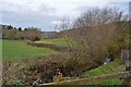 A stream which joins the Taw and Mole at Junction Pool