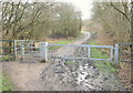 Bestwood Country Park, Notts.