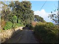 South West Coast Path on the west of Carbis Bay