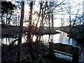 The River Ver near to the confluence with the River Colne