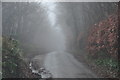 Mid Devon : Country Lane