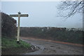 Mid Devon : Country Lane