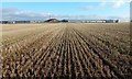 Stubble field at Arkleston