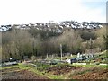 Coombe Valley allotments, Teignmouth