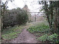 Woodland Path to Patcham-By-Pass