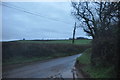 Mid Devon : Country Lane