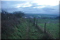 Mid Devon : Grassy Path