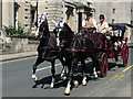 Horses and carriage, Charlotte Street, Bath