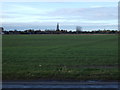 Farmland, Woodhouse