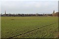 Upton-upon-Severn from Upper Ham