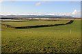 View over Longdon Marsh