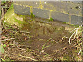 Bench Mark, bridge at Widmerpool Station