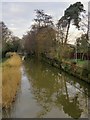 The Wey Navigation in January: view downstream from the Tanyard Bridge