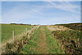 Pembrokeshire Coastal Path