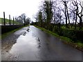 Wet along Tullyrush Road, Ranelly