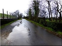 H4966 : Wet along Tullyrush Road, Ranelly by Kenneth  Allen