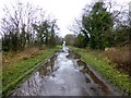 Old road at Tattykeel