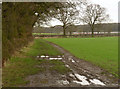 Farm track off Thurlby Lane