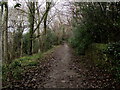 Footpath below Woodlands Hospital