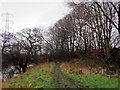 Footpath beside the Aire, near Calverley