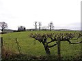 Dunnyboe Townland