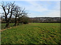 View towards Cookridge