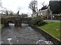 The packhorse bridge, Altarnun