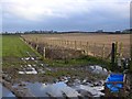 Ditch and fields near Beckfoot