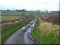 Lane near Langlands