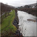 Riverside track in Mountain Ash