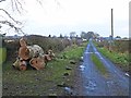 Felled tree at Browhouses