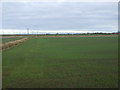 SE8208 : Farmland, Derrythorpe Common by JThomas