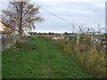 Path beside the River Trent at Derrythorpe