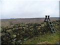 Ladder footpath stile, near a 314 metre spot height