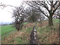 Paved section of Long Tongue Scrog Lane