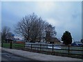 Behind the tree is a disused windmill now a restaurant