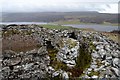 NC8406 : Broch above Loch Brora - view to North by Andrew Tryon