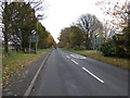 The Avenue (B1430)