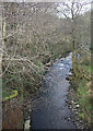 The Afon Garw/River Garw at Tylagwyn