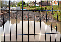 J3773 : The Knock River (old course), Orangefield Park, Belfast by Albert Bridge
