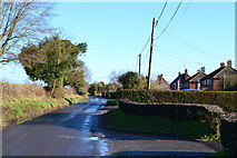 SU7048 : View along Bidden Road, Upton Grey by David Martin