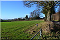 View into field near Powderham Castle