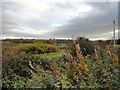 View across the river from the path below Frankland Farm