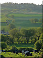 Farmland, Box Hill