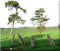 The church of St Lawrence at Ilketshall - churchyard