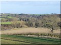 View across farmland to the River Aln