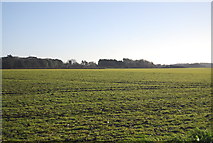 TG2539 : Farmland near Sidestrand by N Chadwick